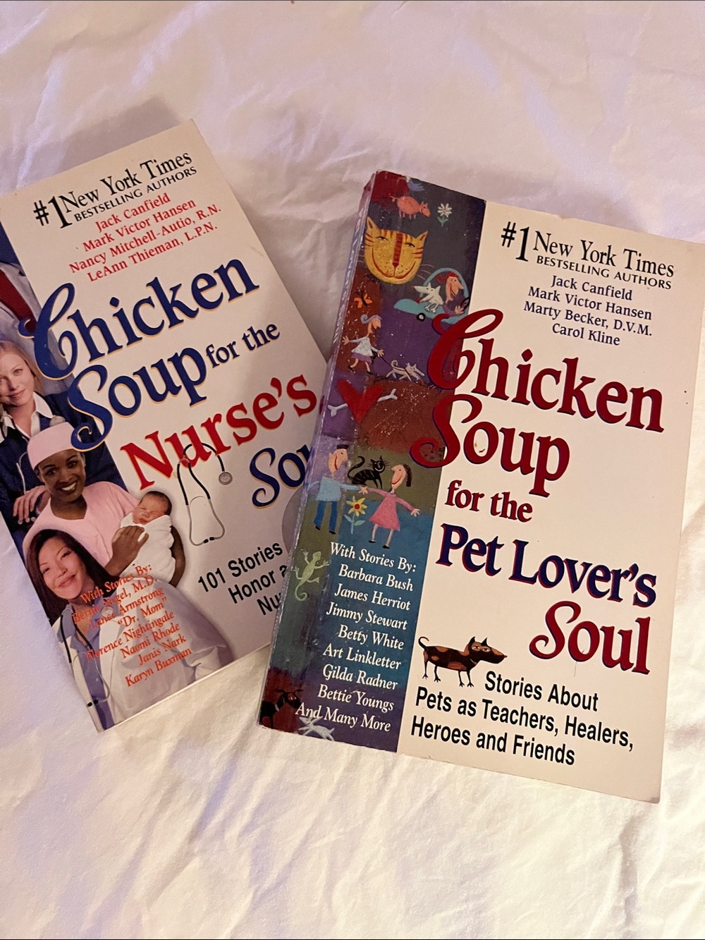Chicken soup for Nurses & Pet Lovers